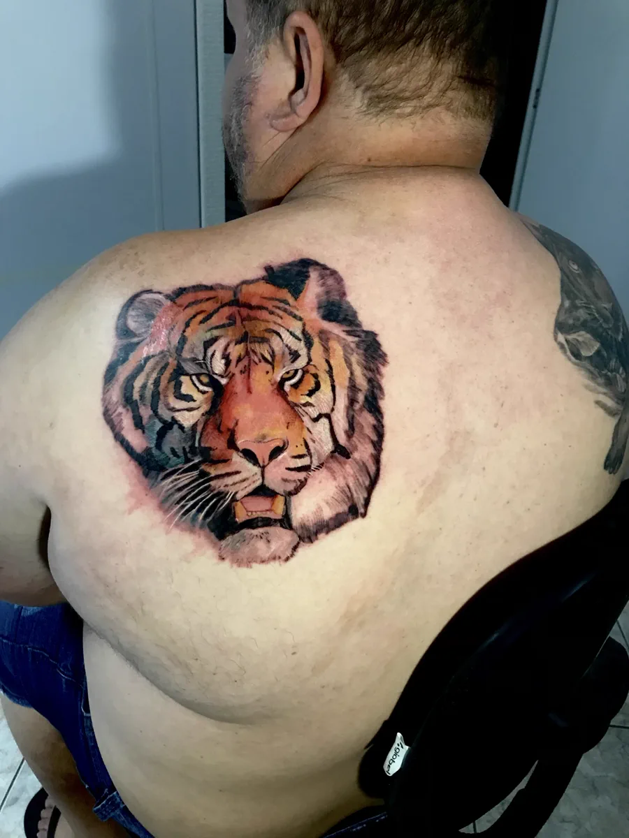 Tatuagem colorida de tigre nas costas realizada pela Lopes Tattoo