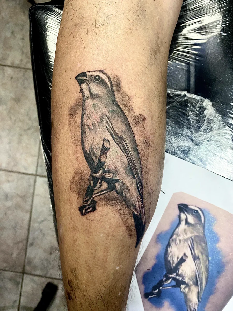 Tatuagem de pássaro em preto e cinza realizada pela Lopes Tattoo